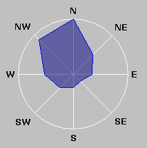 Wind Rose